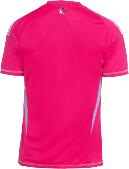 Manto Flamengo Goleiro 2 Adidas 2025